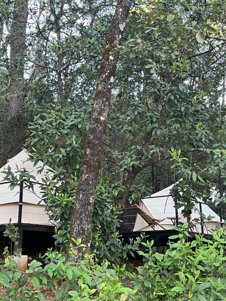 Hotel Oxú Solo adultos Valle de Bravo Exterior foto